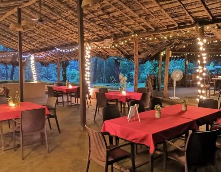 Nature S Nest Eco Resort Goa, Near Dudhsagar Waterfalls