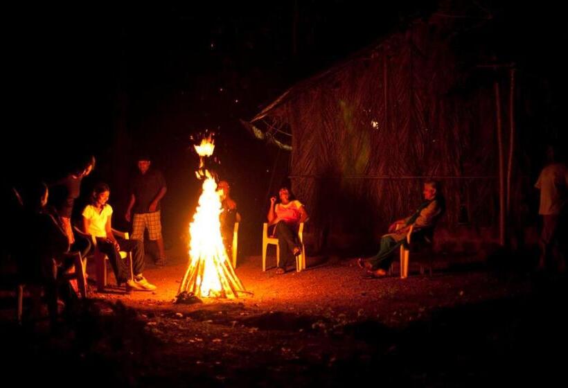 Nature S Nest Eco Resort Goa, Near Dudhsagar Waterfalls