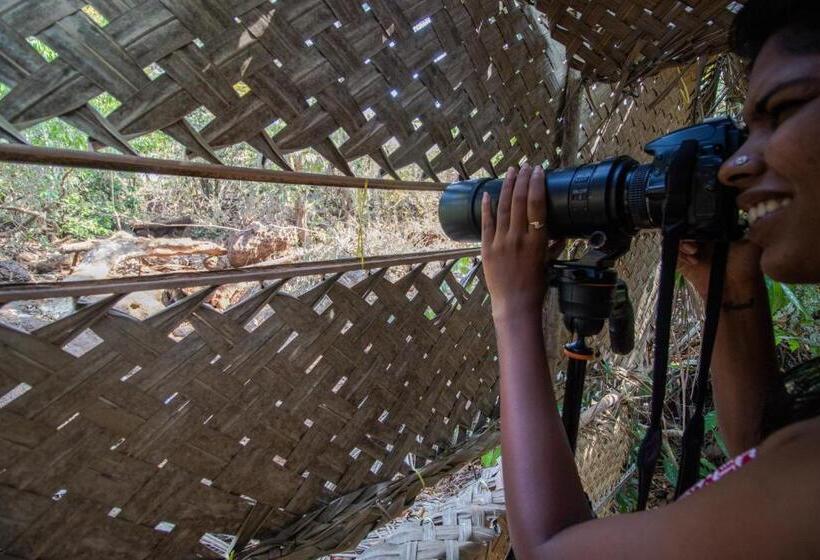 Nature S Nest Eco Resort Goa, Near Dudhsagar Waterfalls