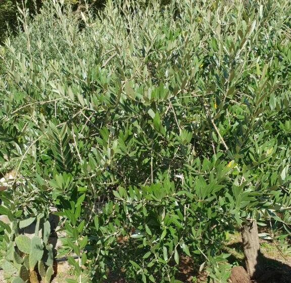 Bed and Breakfast Ca' Datu