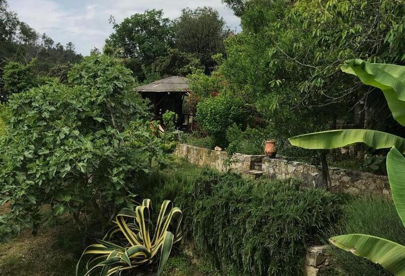 Bed and Breakfast Ca' Datu