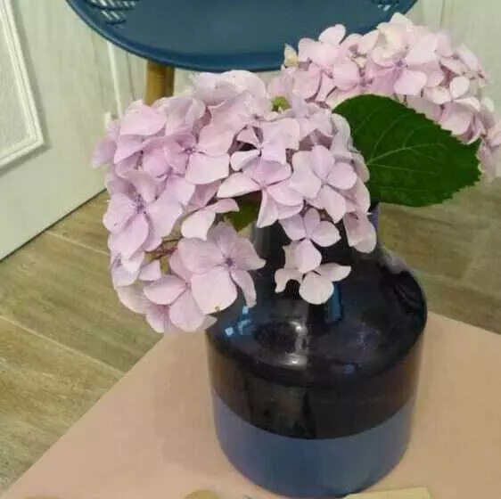 Hotelli Restaurant La Maison