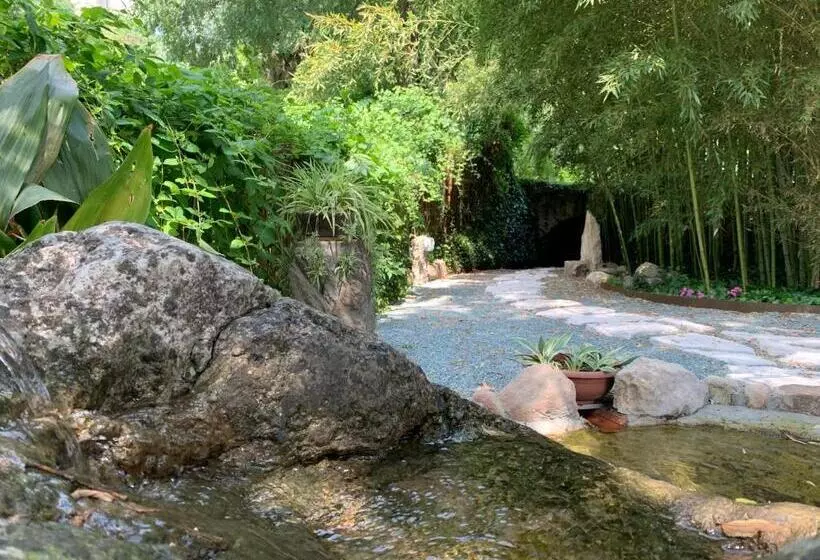 L'isolo B&b E Case Vacanza