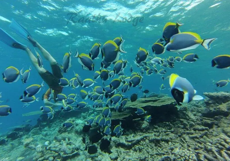 پانسیون Raalhu Lodge