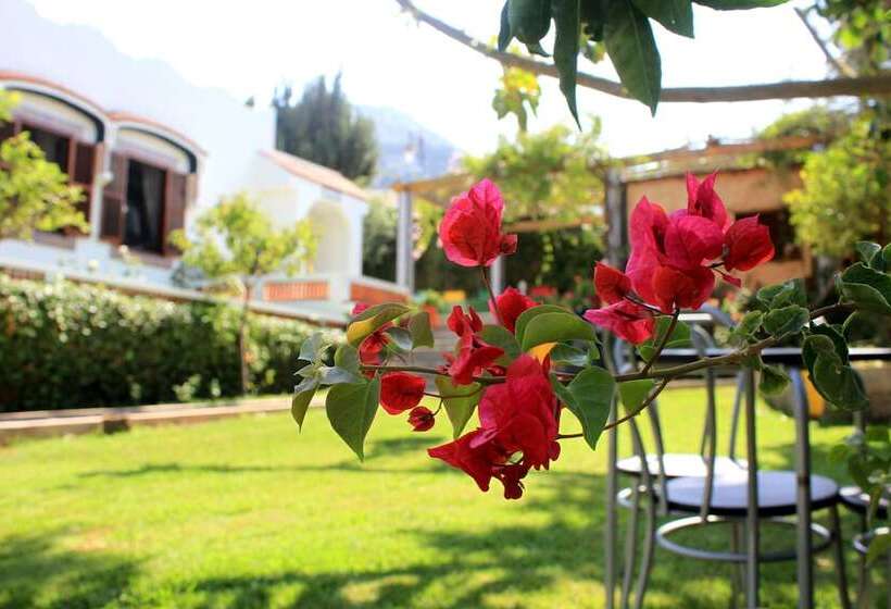 پانسیون Riad Dar Achaach