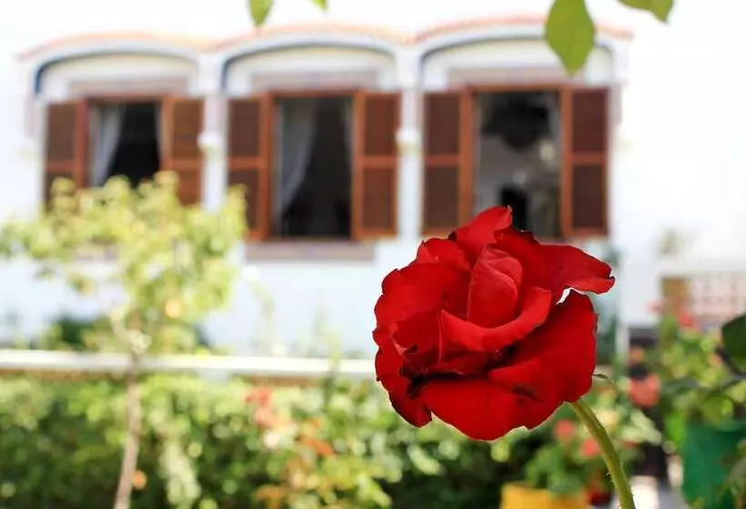 پانسیون Riad Dar Achaach