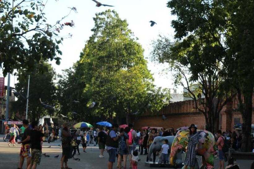 Z S Hostel At Tha Phae Gate