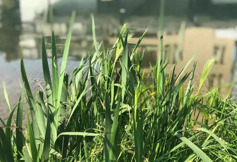 تختخواب و صبحانه Residenza Fiori Di Grano