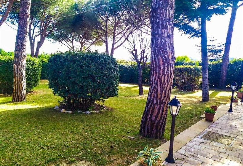 B&b Parco Degli Ulivi