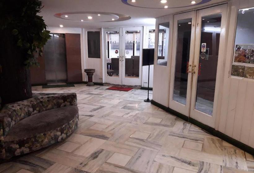 בית מלון כפרי Ambassador