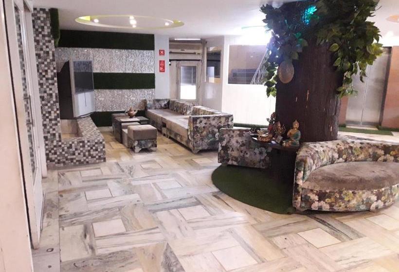 בית מלון כפרי Ambassador