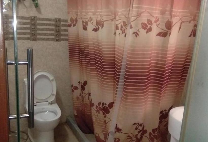 בית מלון כפרי Ambassador