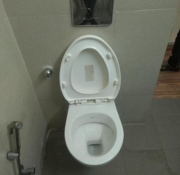 בית מלון כפרי Ambassador