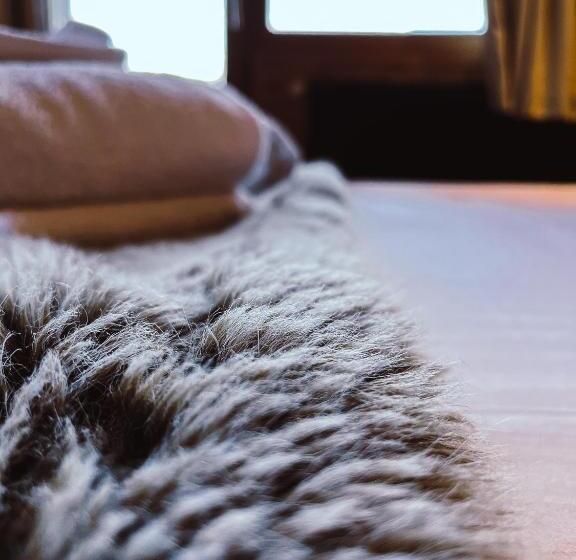 Отель Chalet Les Rhodos