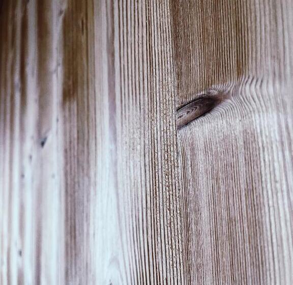 Отель Chalet Les Rhodos