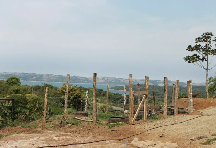 酒店 Establo Arenal Lodge