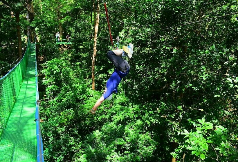 酒店 Establo Arenal Lodge