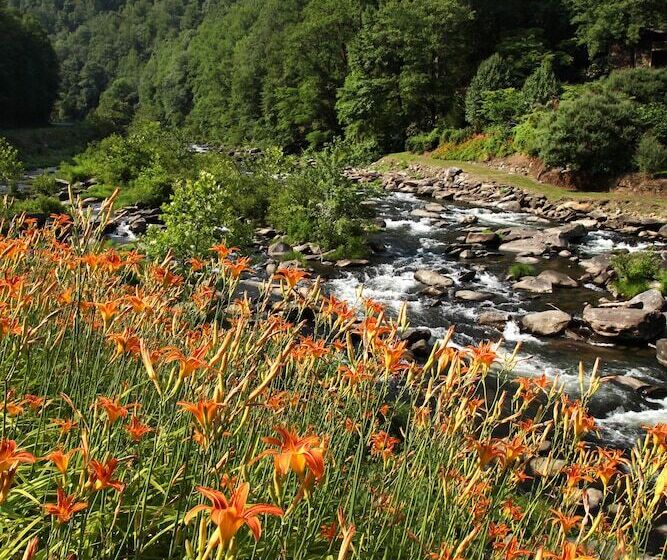 ホテル Historic Tapoco Lodge