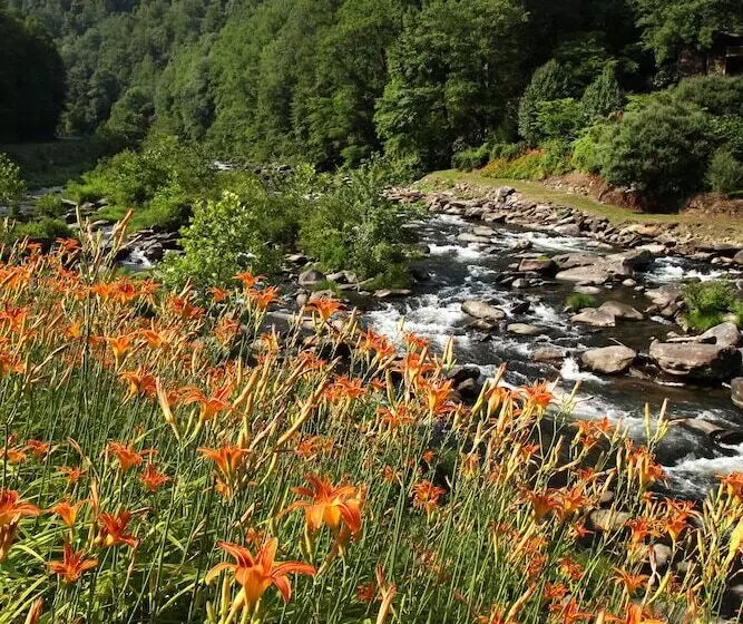 ホテル Historic Tapoco Lodge