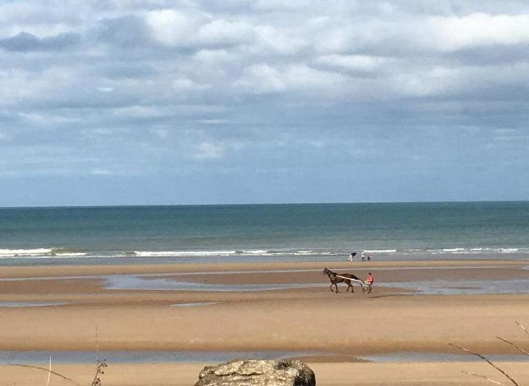 هتل La Tour Louise