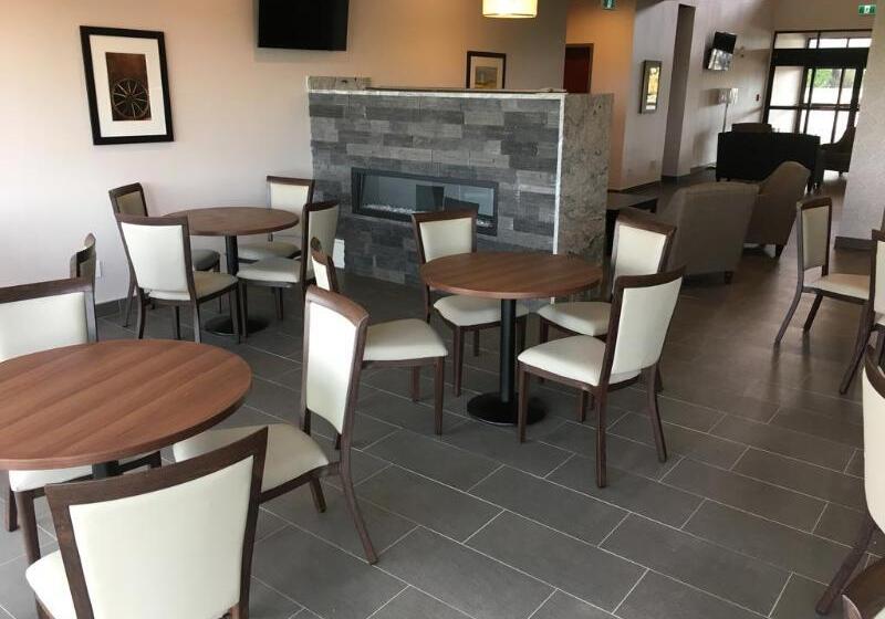 בית מלון כפרי Park Inn By Radisson Edmonton Airport