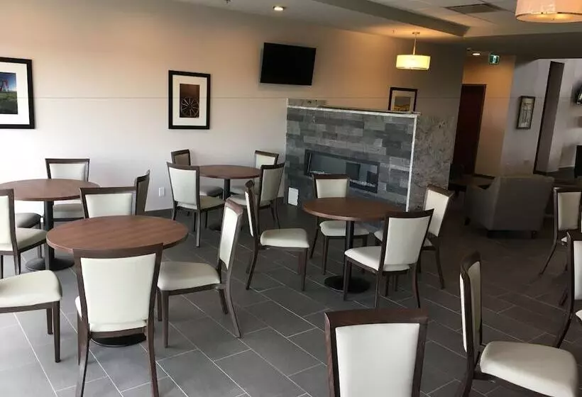 ホテル Park Inn By Radisson Edmonton Airport