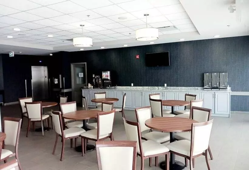 ホテル Park Inn By Radisson Edmonton Airport