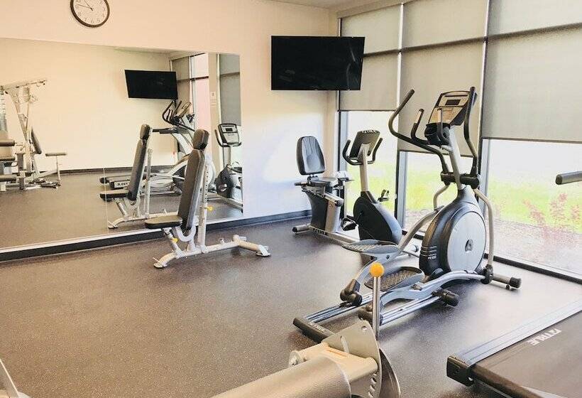 בית מלון כפרי Park Inn By Radisson Edmonton Airport