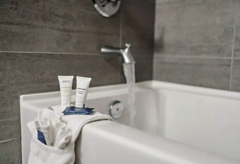 ホテル Park Inn By Radisson Edmonton Airport