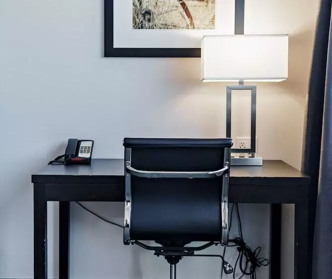 ホテル Park Inn By Radisson Edmonton Airport