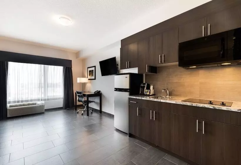 ホテル Park Inn By Radisson Edmonton Airport