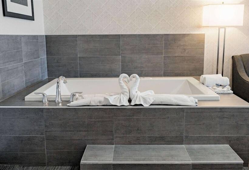 בית מלון כפרי Park Inn By Radisson Edmonton Airport