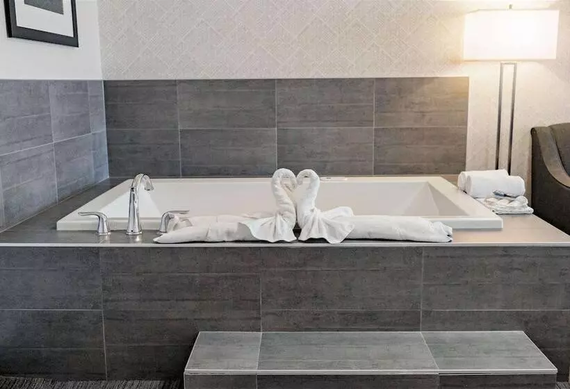 ホテル Park Inn By Radisson Edmonton Airport