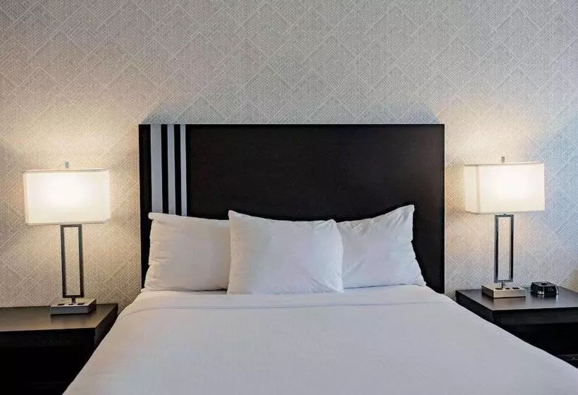 ホテル Park Inn By Radisson Edmonton Airport