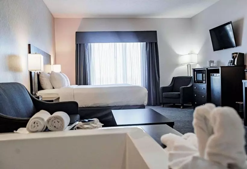 ホテル Park Inn By Radisson Edmonton Airport