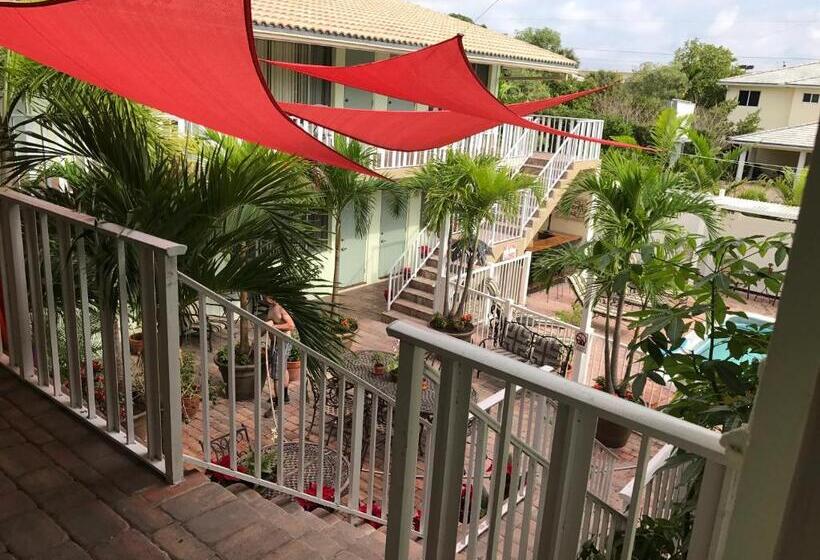 فندق The Big Coconut Guesthouse   Gay Men S Resort