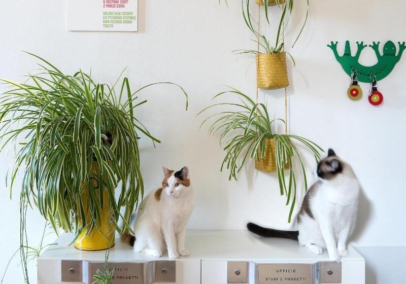 Zip B&b . Design In Florence