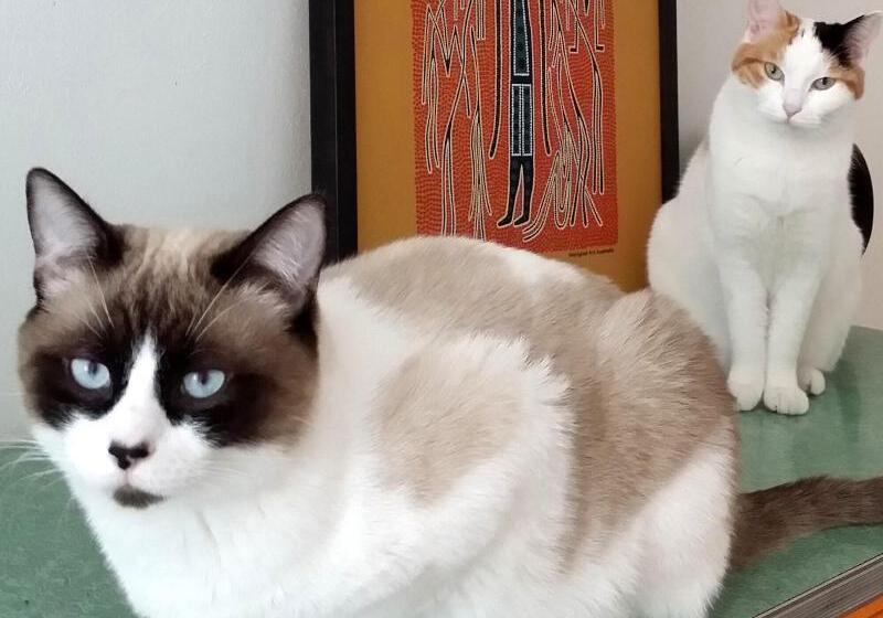 Zip B&b . Design In Florence