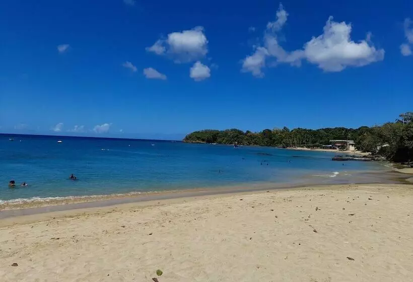 Casa Del Sol Tobago