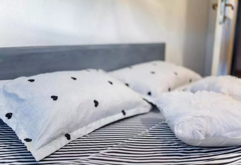 Hostel Herz