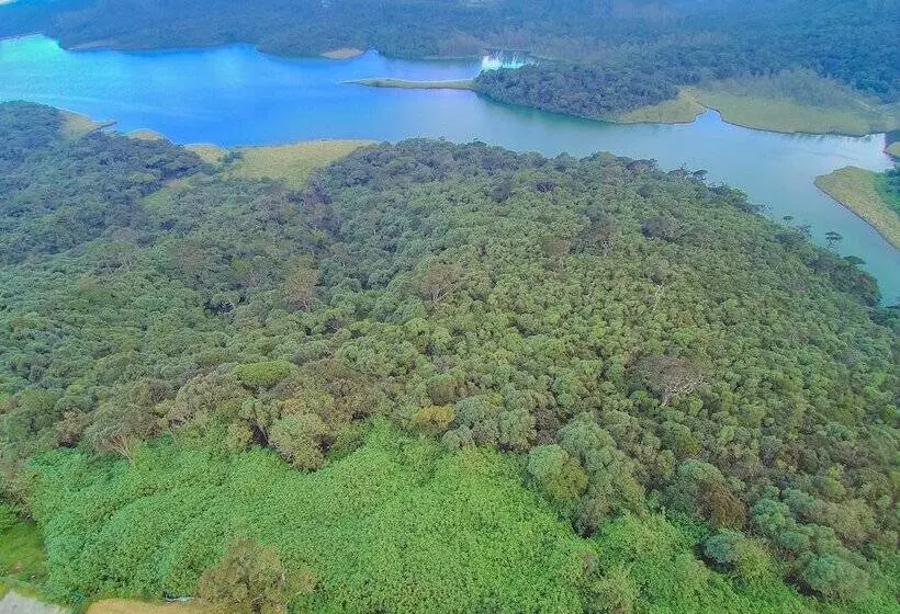 هتل Mount Lake Inn