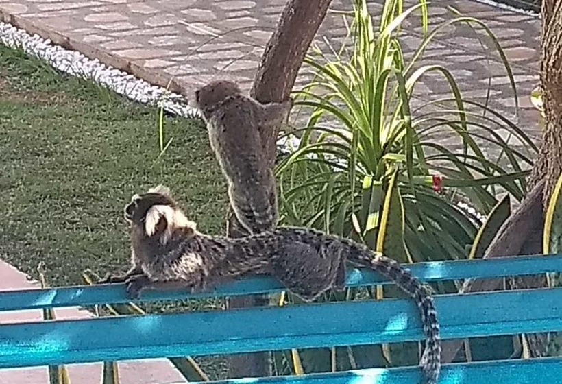 ホテル Pousada Lisboa Natal