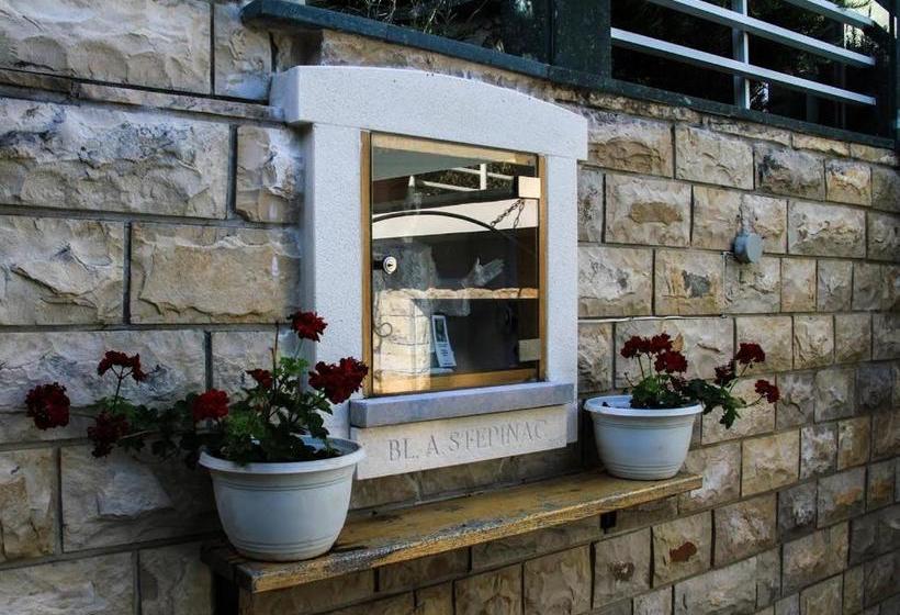 Отель Villa Bilo