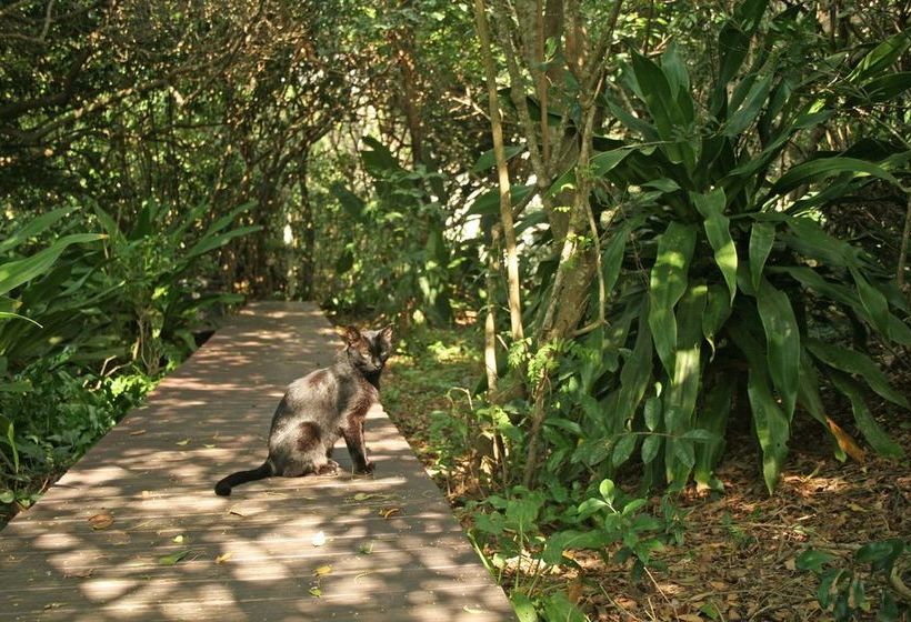 호텔 Vista Alta Lodge