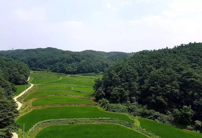 Hotelli Yangyang International Airport