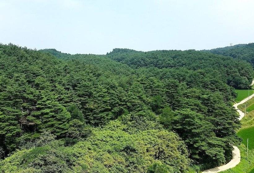 Hotel Yangyang International Airport