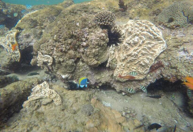 Khumbula Imozambique