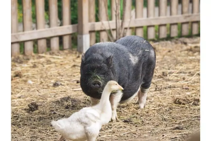 ペンション Chambres D Hôtes Chez Mariebel