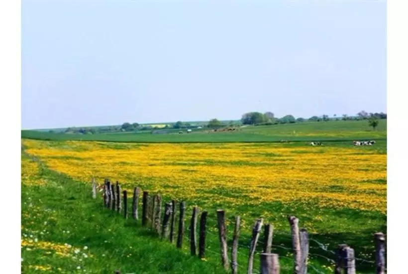 ペンション Chambres D Hôtes Chez Mariebel