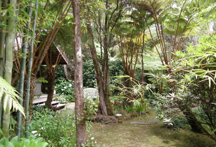 Volcano Teapot Cottage